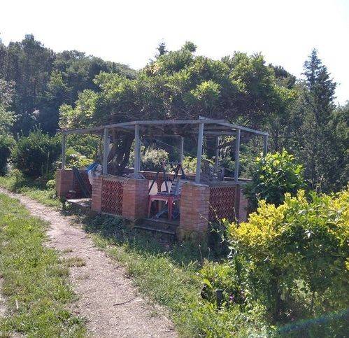 Rustico / casale a Roccastrada - Foto 5