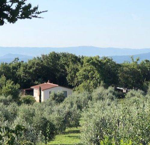 Rustico / casale a Roccastrada - Foto 5