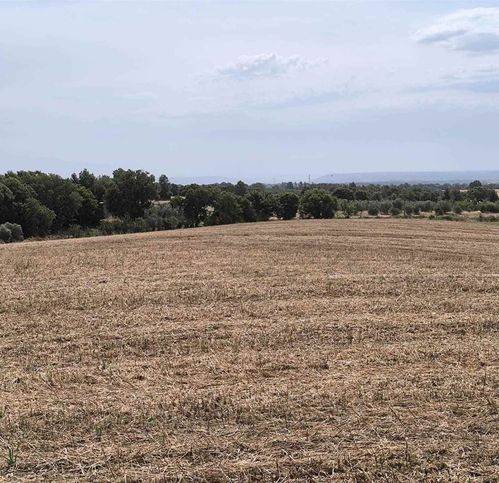 Terreno a Montefiascone - Foto 2
