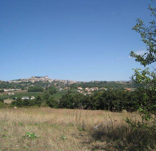 Terreno a Montefiascone - Foto 4