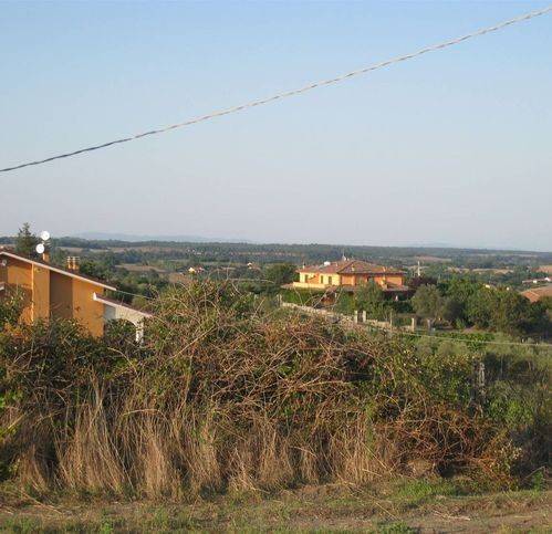 Terreno a Montefiascone - Foto 5
