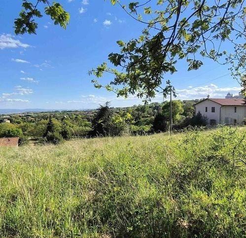 Terreno a Montefiascone - Foto 4