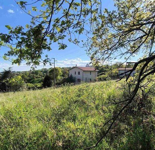 Terreno a Montefiascone - Foto 5