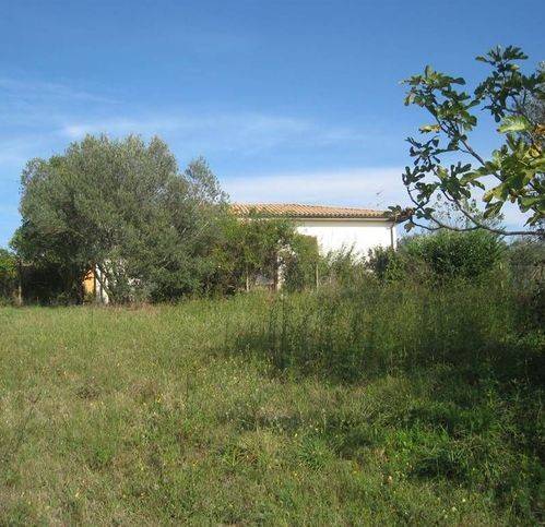 Terreno a Montefiascone - Foto 3
