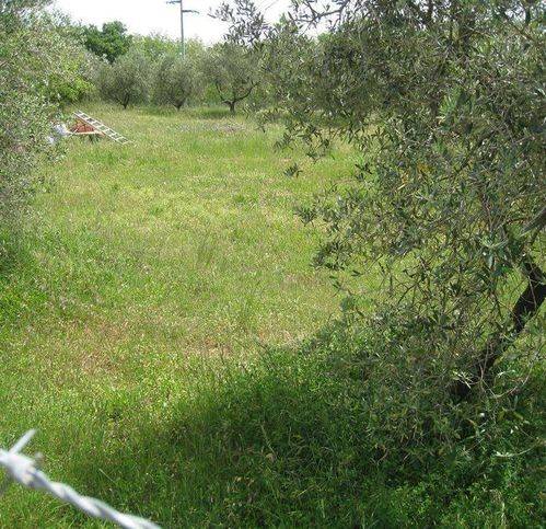 Terreno a Montefiascone - Foto 2
