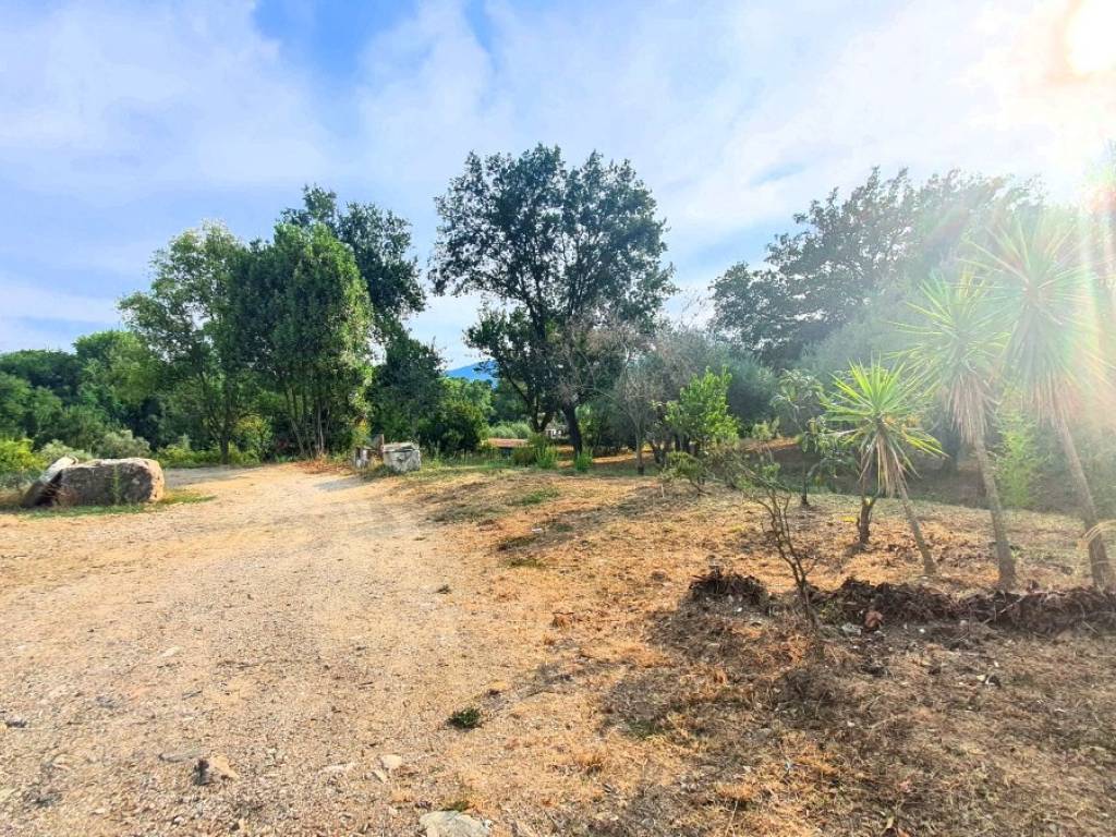 Villa a Sarzana - Foto 4