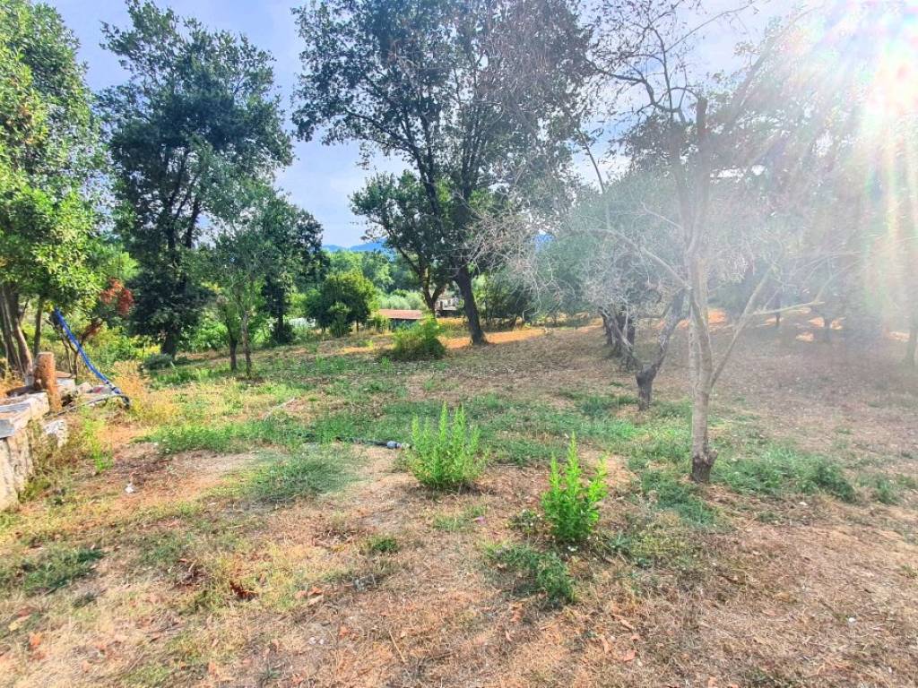 Villa a Sarzana - Foto 5