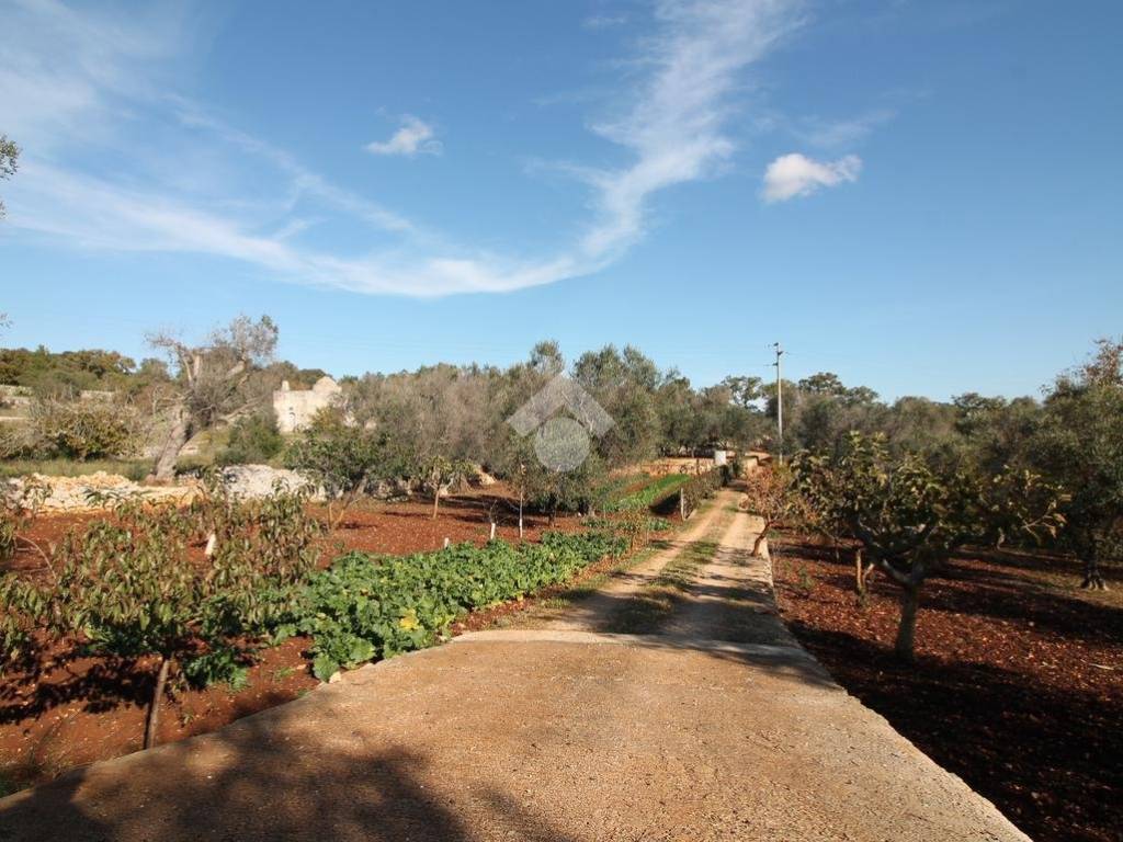 Rustico / casale a Ostuni - Foto 2