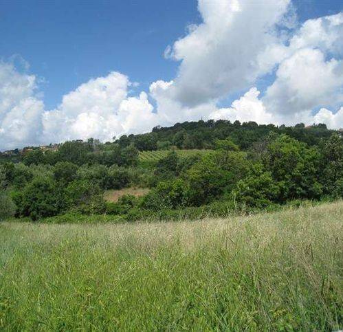 Terreno a Montefiascone - Foto 3