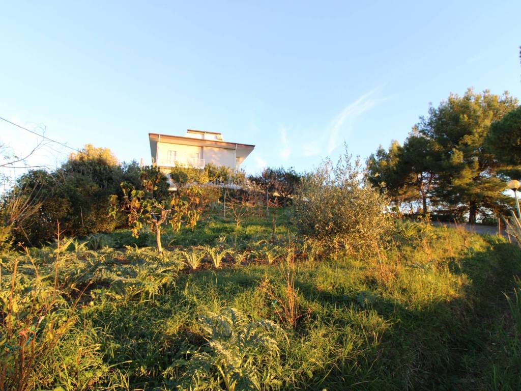 Terreno a Massignano in fonte trufo - Foto 2