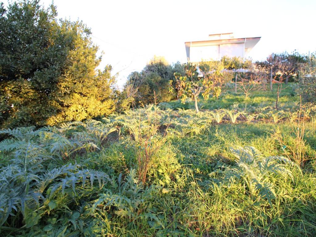 Terreno a Massignano in fonte trufo - Foto 3