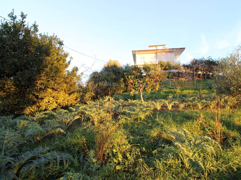 Terreno a Massignano in fonte trufo - Foto 4