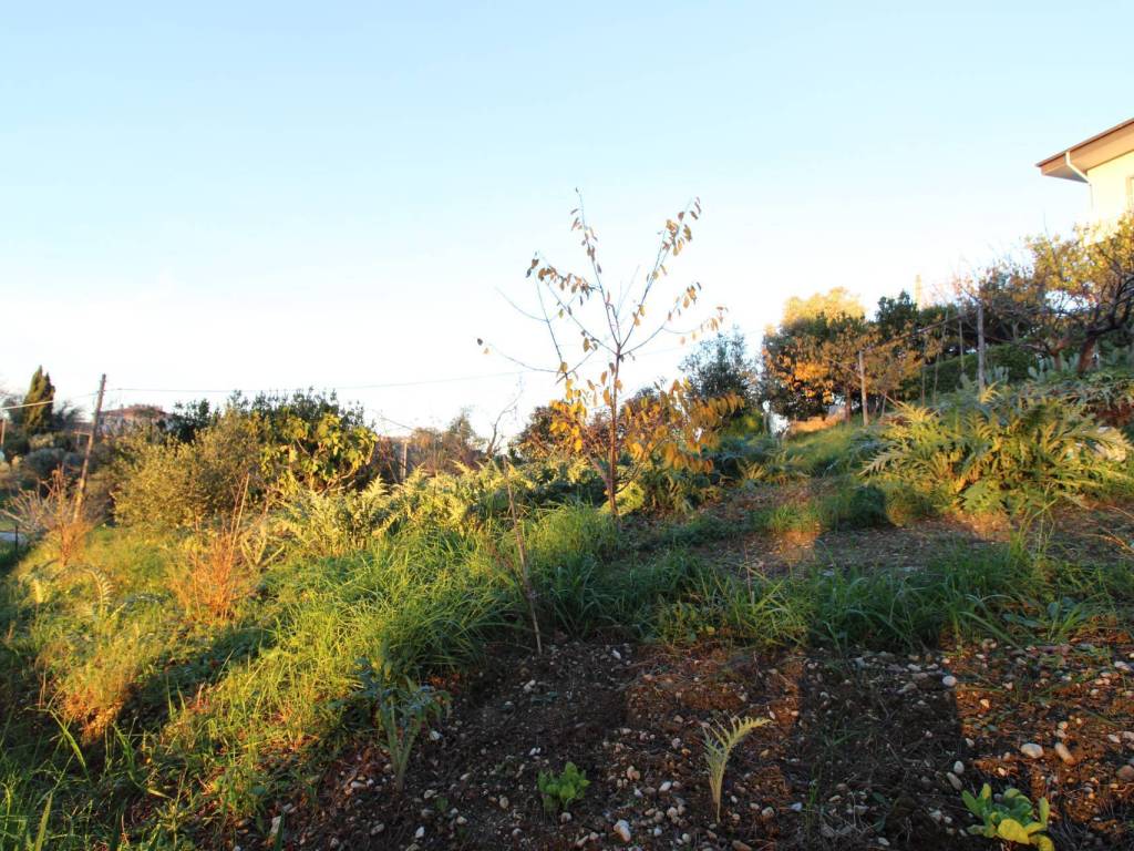Terreno a Massignano in fonte trufo - Foto 5