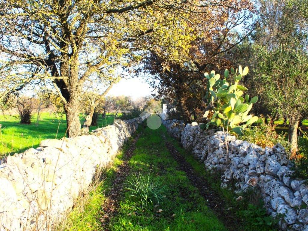 Terreno a Carovigno in Contrada Colacavallo - Foto 4