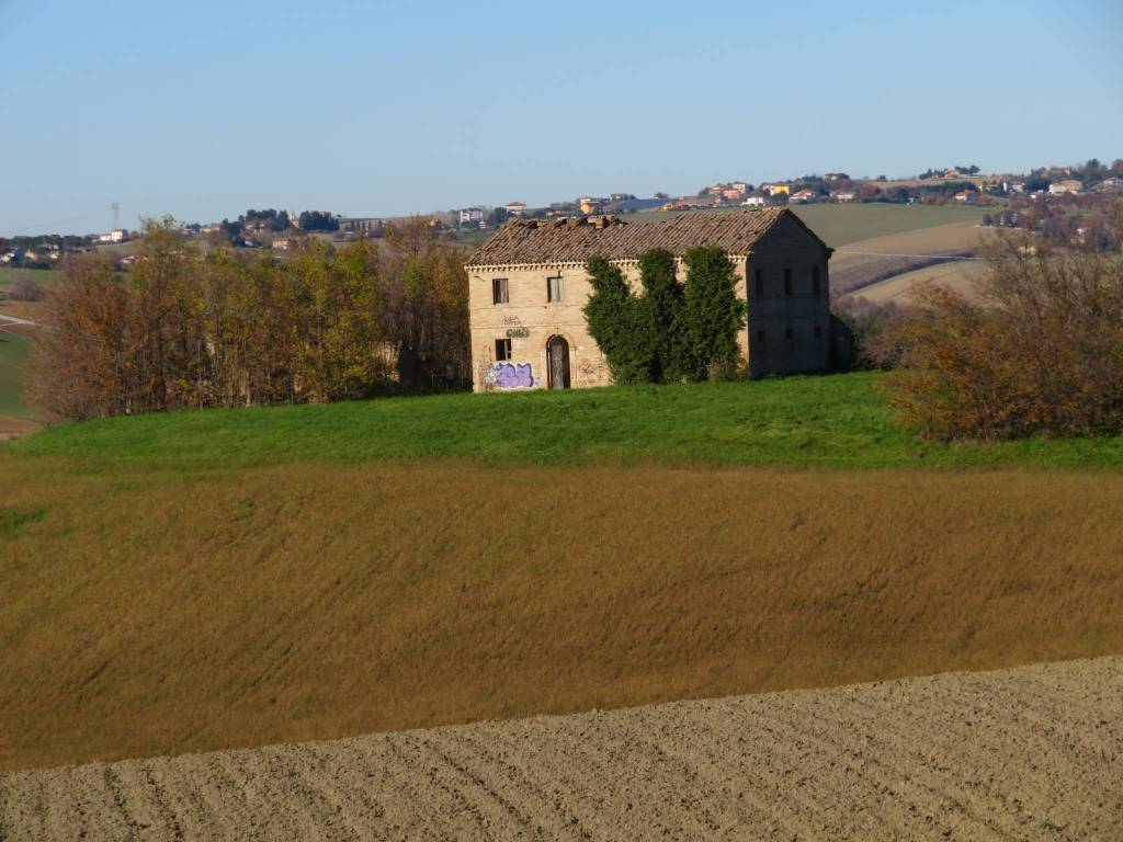 Rustico / casale a Appignano in Contrada Lame - Foto 5