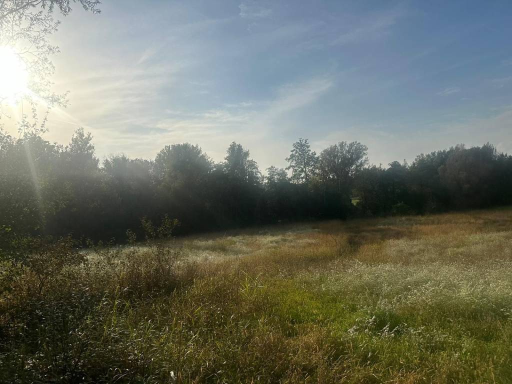 Terreno a Nibionno in Via Alessandro Volta - Foto 2