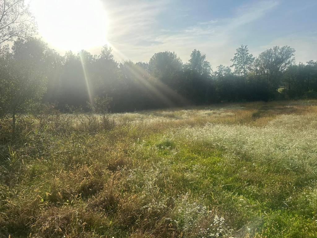 Terreno a Nibionno in Via Alessandro Volta - Foto 3