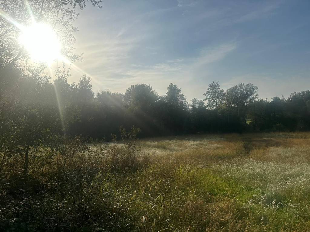 Terreno a Nibionno in Via Alessandro Volta - Foto 4