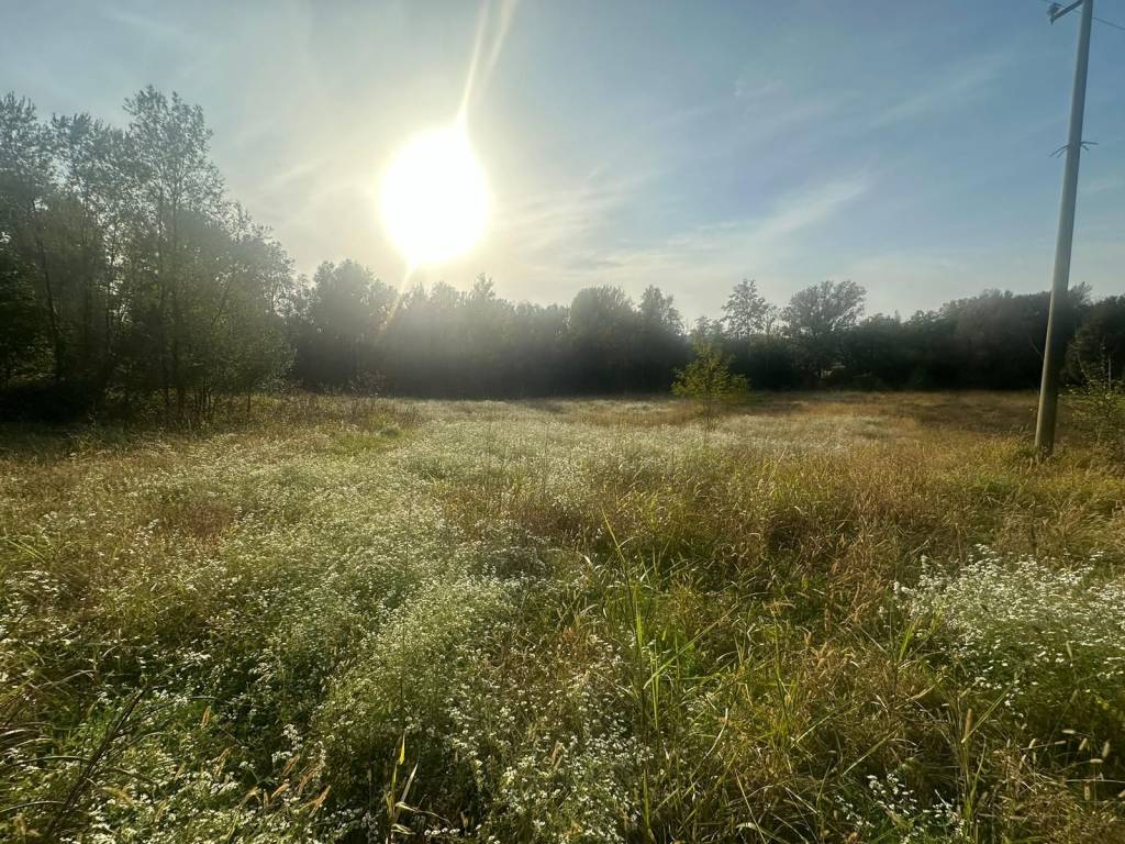 Terreno a Nibionno in Via Alessandro Volta - Foto 5