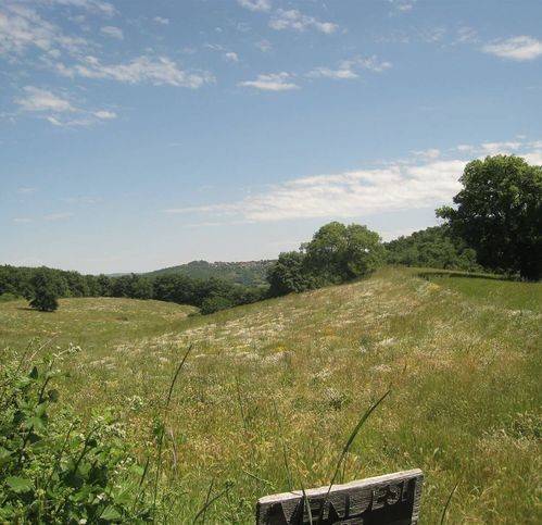 Terreno a Montefiascone - Foto 3