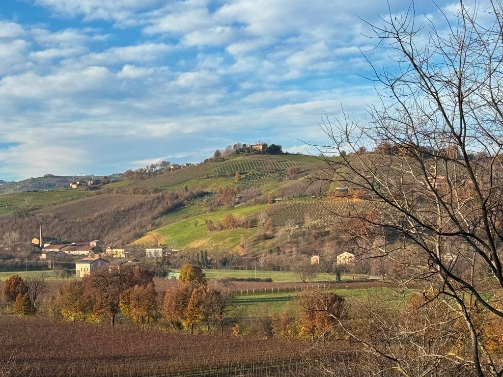 Rustico / casale a Castelvetro di modena in Via Sinistra Guerro - Foto 4