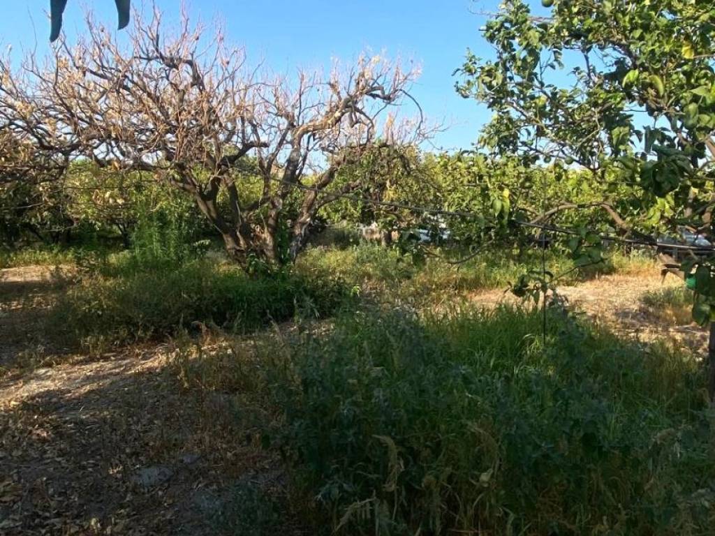 Terreno a Melito di porto salvo in Via SS106 Annà - Foto 3