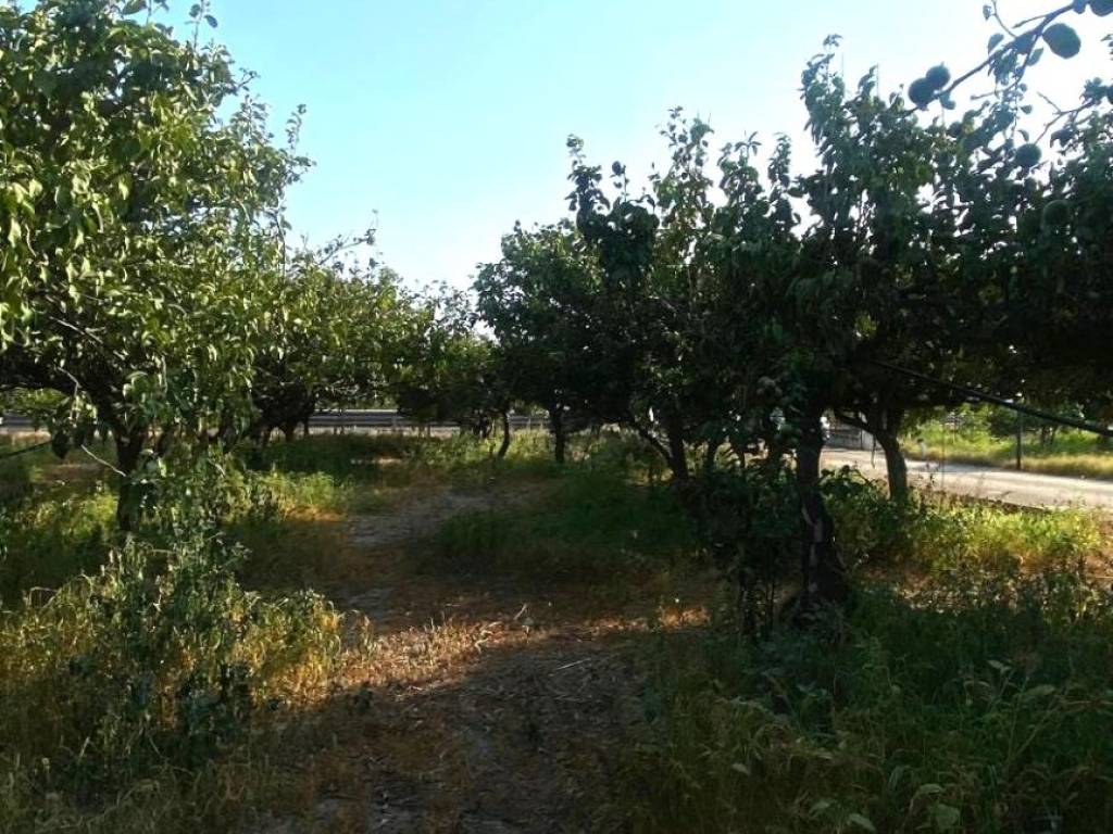 Terreno a Melito di porto salvo in Via SS106 Annà - Foto 4