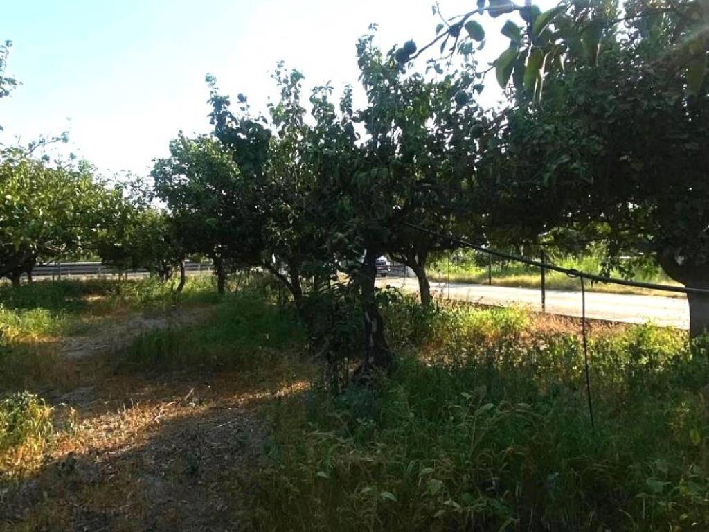 Terreno a Melito di porto salvo in Via SS106 Annà - Foto 5