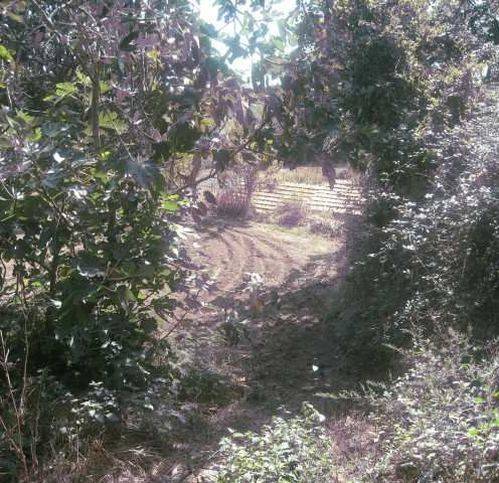 Terreno a Montefiascone - Foto 2