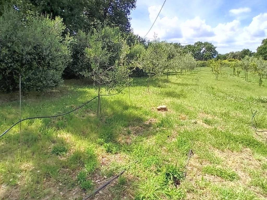 Villa a Manciano - Foto 2