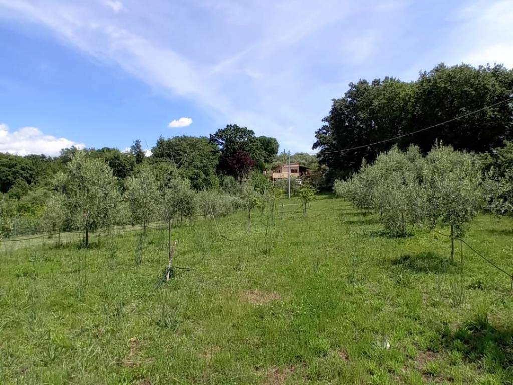 Villa a Manciano - Foto 4