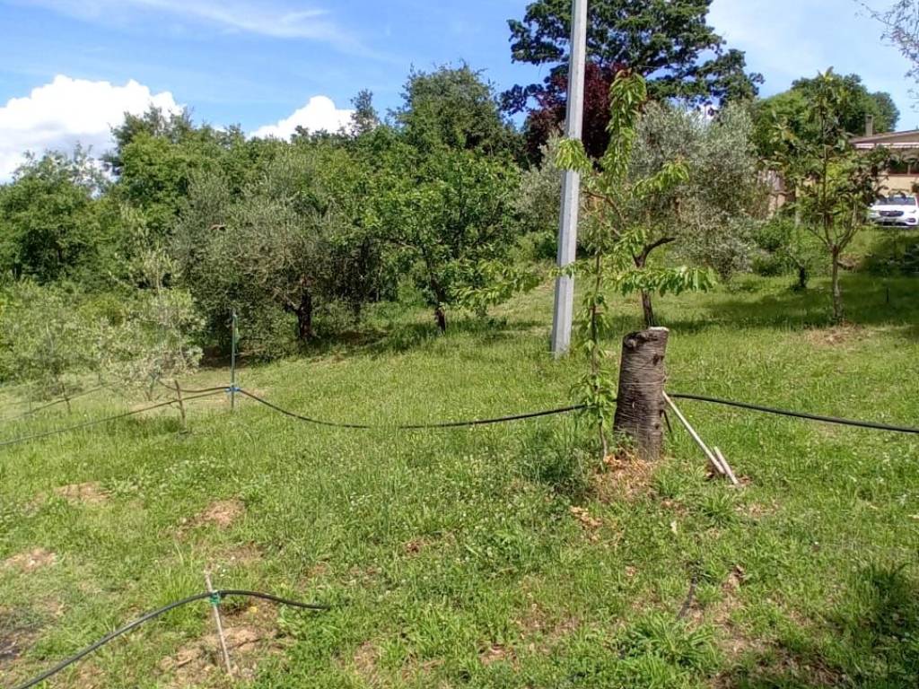 Villa a Manciano - Foto 5