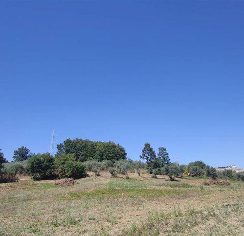Terreno a Montefiascone - Foto 2