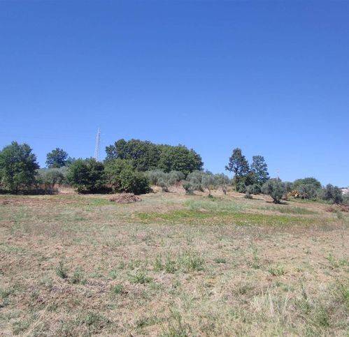 Terreno a Montefiascone - Foto 5