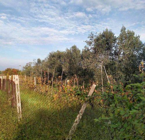 Terreno a Viterbo in Strada Gavazzano - Foto 2