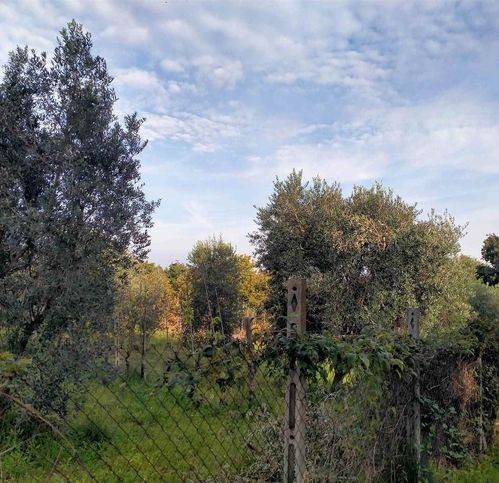 Terreno a Viterbo in Strada Gavazzano - Foto 4