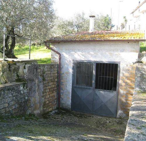 Terreno a Montefiascone - Foto 4