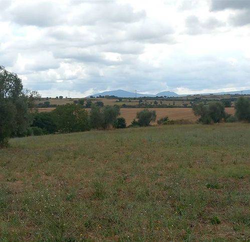 Terreno a Viterbo - Foto 2