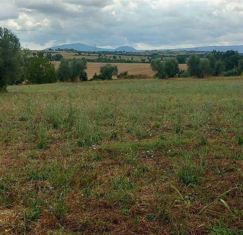 Terreno a Viterbo - Foto 3