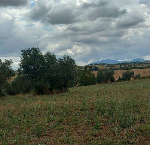 Terreno a Viterbo - Foto 4