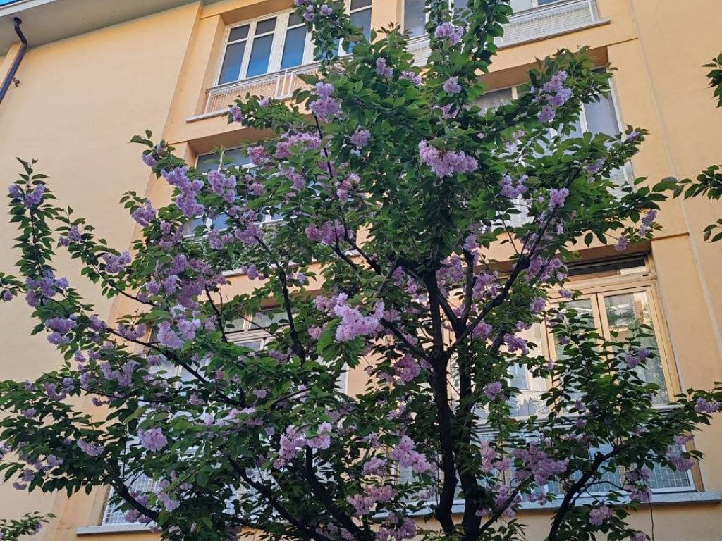 Appartamento a Asti in Corso Felice Cavallotti, 25 - Foto 3