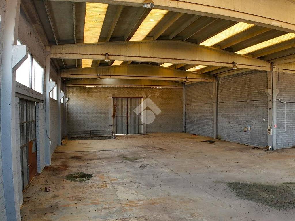 Immobile a Basaluzzo in Via Ovada - Foto 5