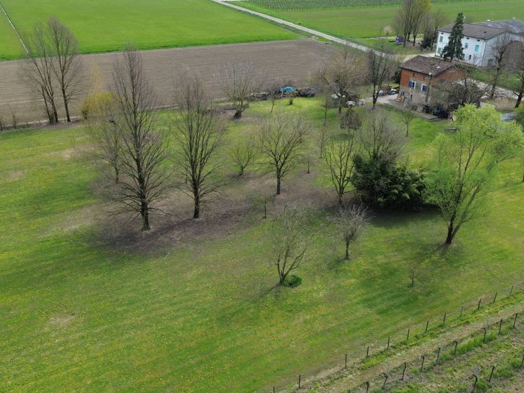 Villa a Campagnola emilia in Via Frassinara, 7 - Foto 5