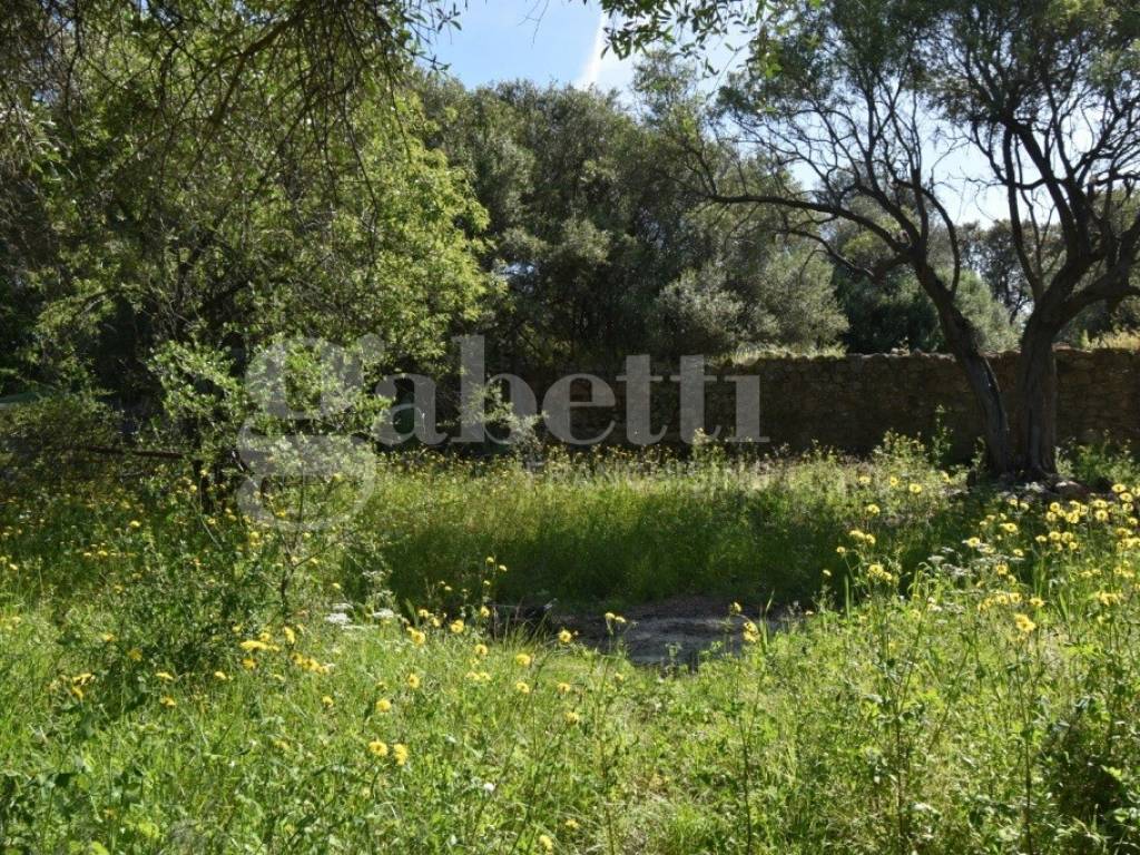 Terreno a Loiri porto san paolo in via mazzini, SNC - Foto 3