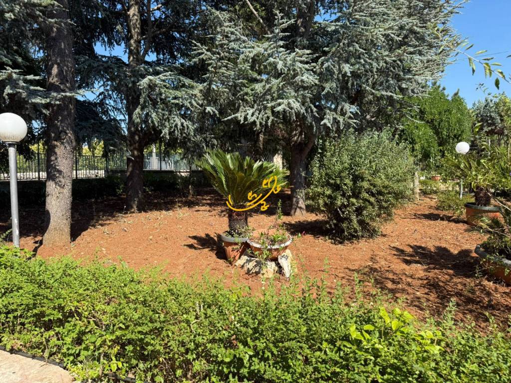 Villa a Fasano in Laureto - Foto 3