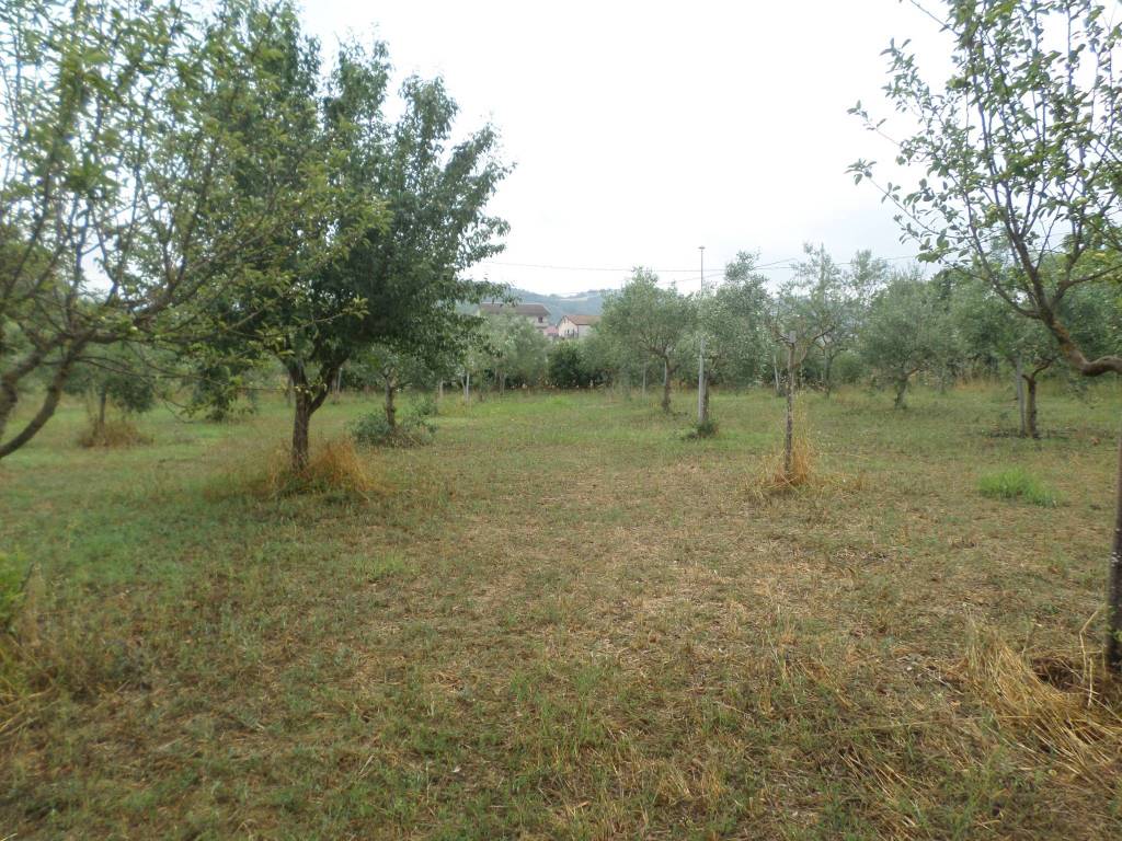 Terreno a Baragiano in Via Appia, 87 - Foto 3