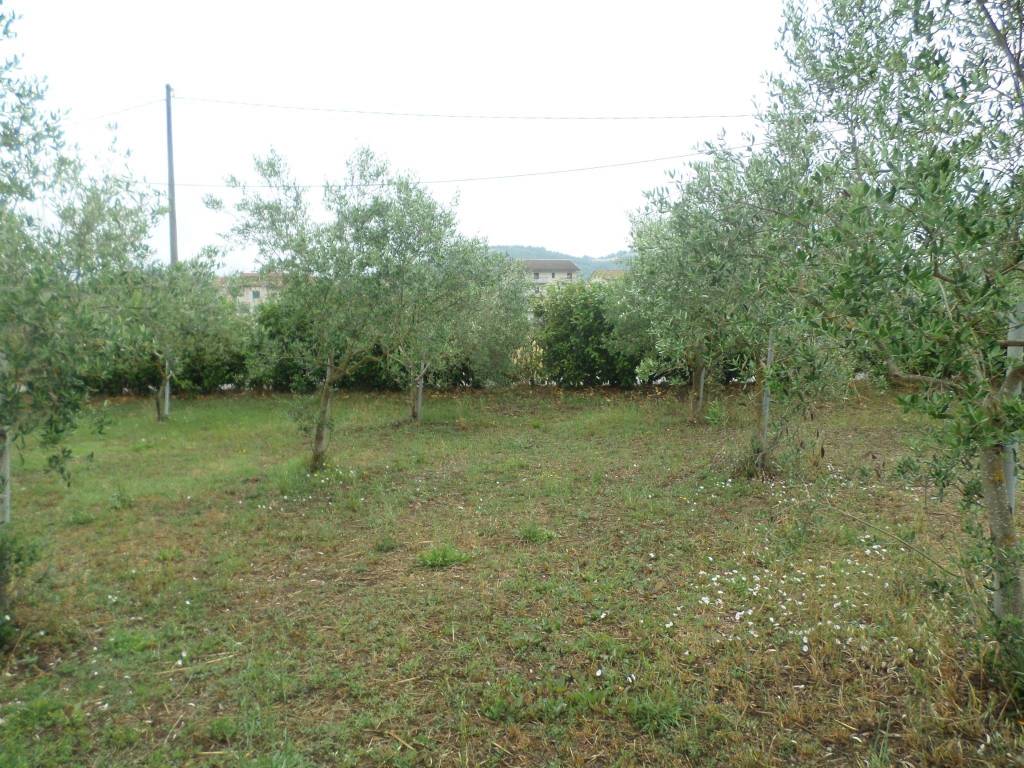 Terreno a Baragiano in Via Appia, 87 - Foto 4