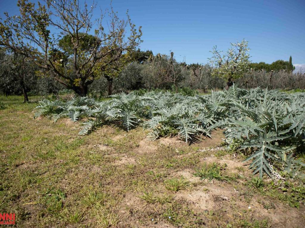 Terreno a Cecina in Via Aurelia Sud - Foto 3