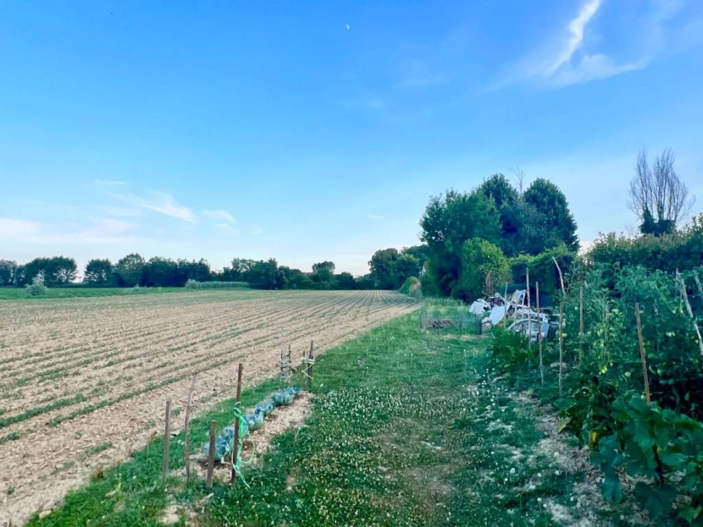 Terreno a Campodoro in Via Vecchia - Foto 5