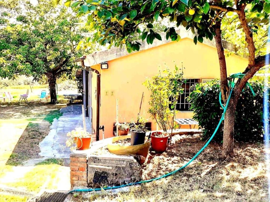 Immobile a Rosignano marittimo in Via per Rosignano, 107 - Foto 5
